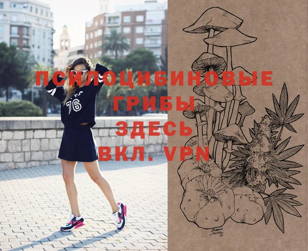 PSILOCYBIN Алексеевка