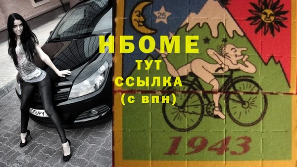 стафф Алексин