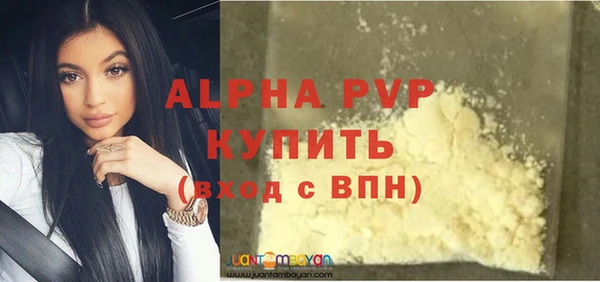 стафф Алексин