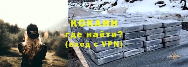 стафф Алексин