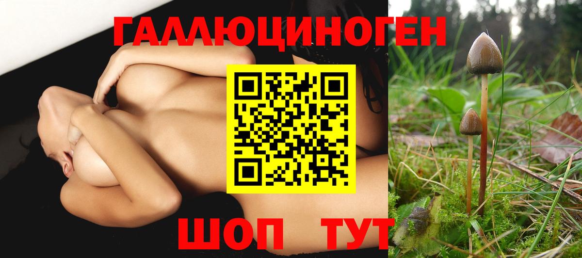 Галлюциногенные грибы Cubensis Бирск